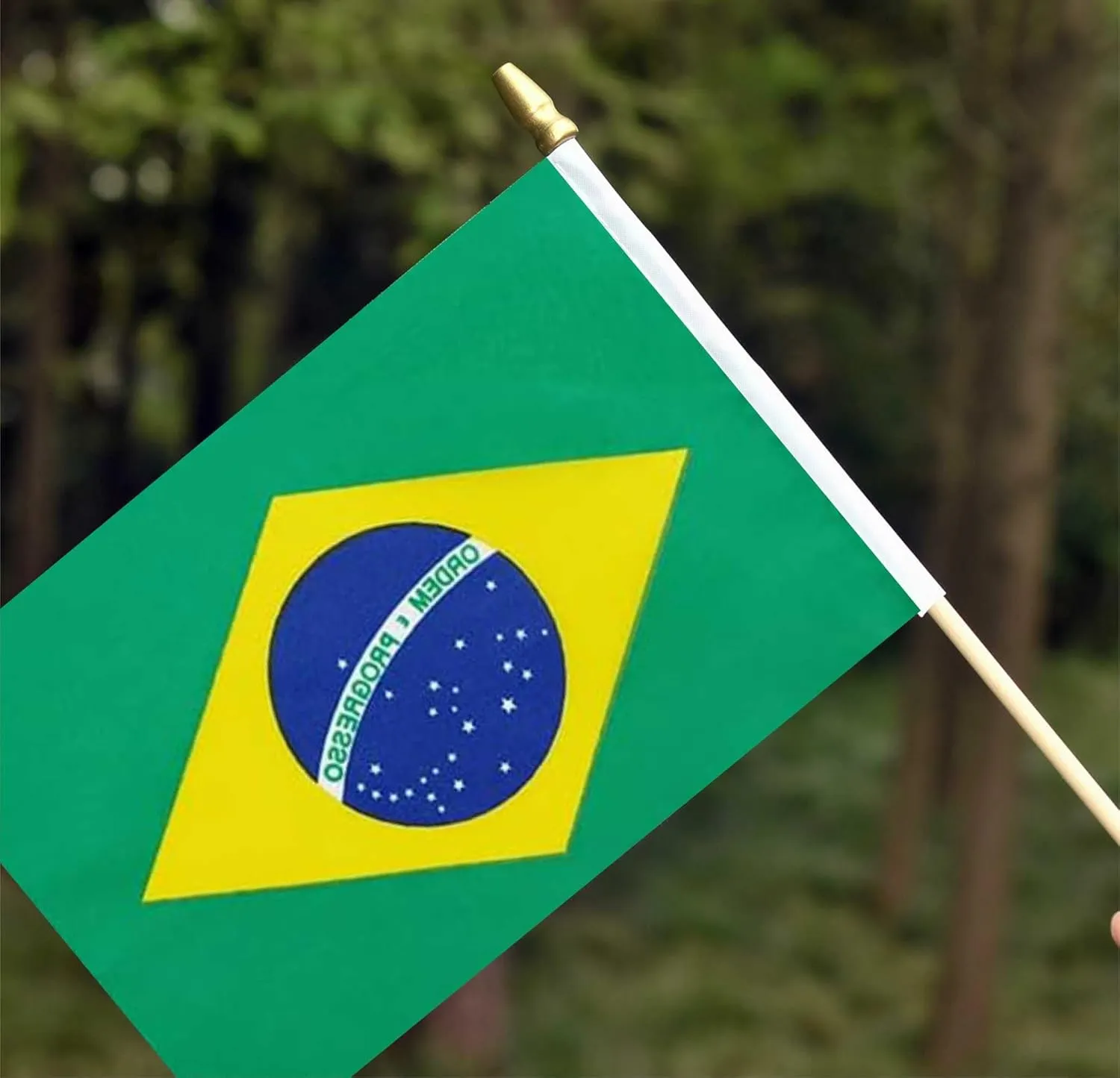 25Pack Small Brazil Flag Handheld Mini Brazilian Flag on Stick 5x8 Inch