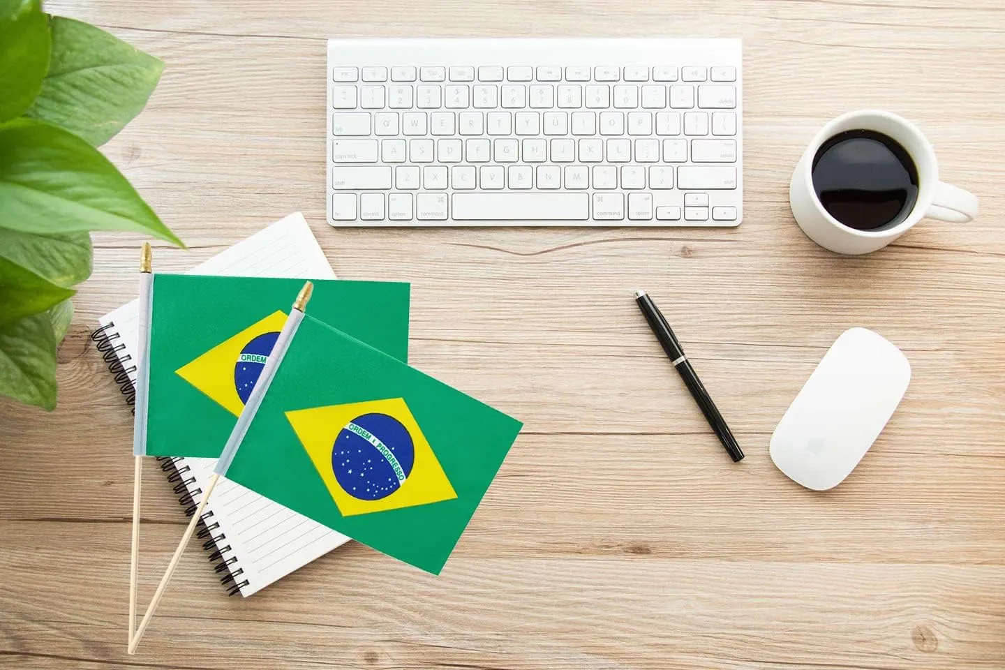 25Pack Small Brazil Flag Handheld Mini Brazilian Flag on Stick 5x8 Inch