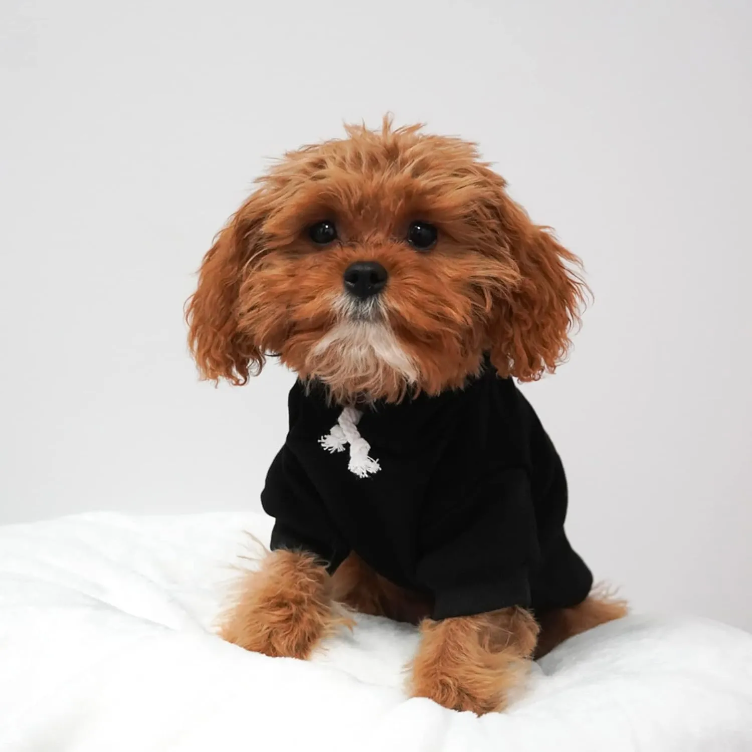 Baby Security in Training Pullover Fleece Lined Dog Hoodie with Leash Hole Sweatshirt (Grey)