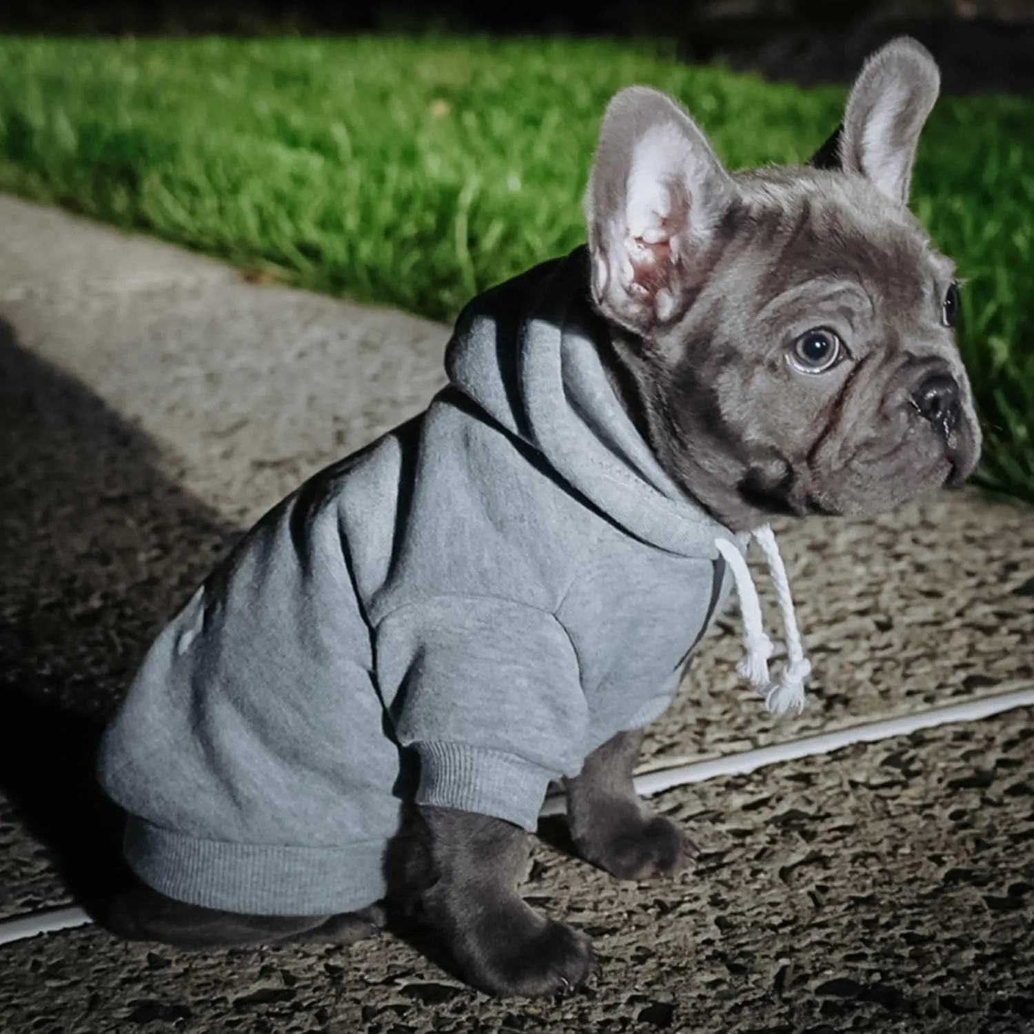 Big Brother Heart Paw Pullover Fleece Lined Dog Hoodie (Grey Hooded Sweatshirt)