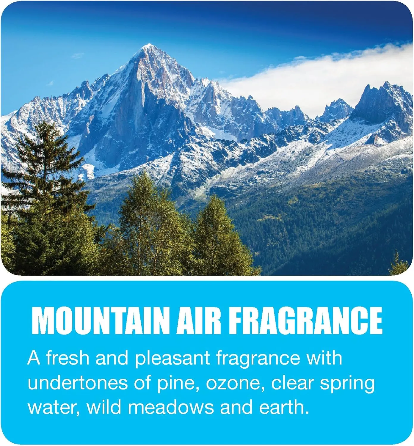 Big D 344 Odor Control Fogger, Mountain Air Fragrance-Kills odors from fire, flood, decomposition, skunk, cigarettes, musty smells-Ideal for use in cars, property management, hotels ,5 oz (Pack of 12)