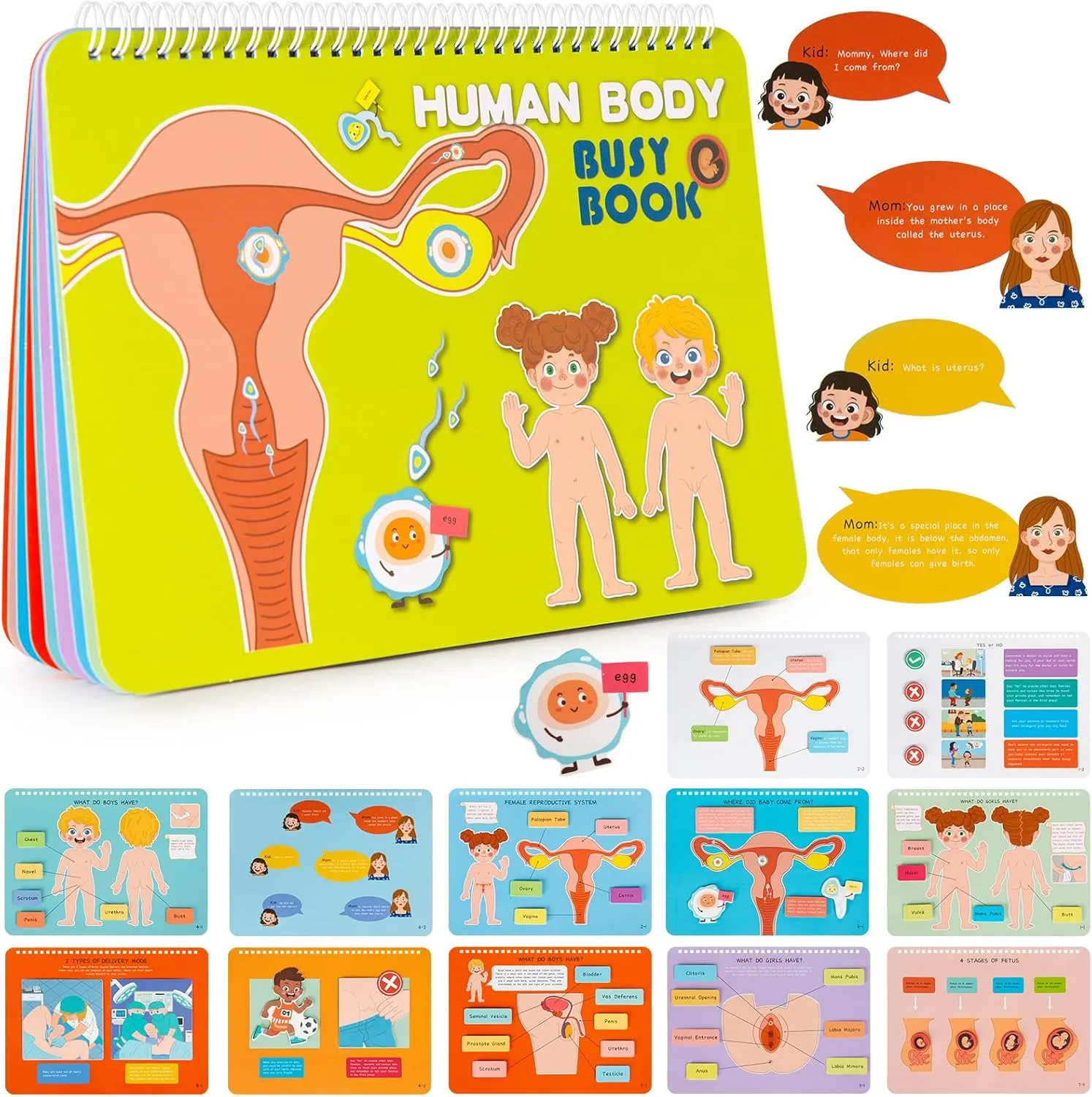 Freebear Montessori Busy Book for Kids, Human Body Anatomy Book for Toddlers, Preshool Kindergarten Learning Activities, Autism Sensory Toys, Gifts for Girls and Boys 4-7 Years- Human Body Procreation