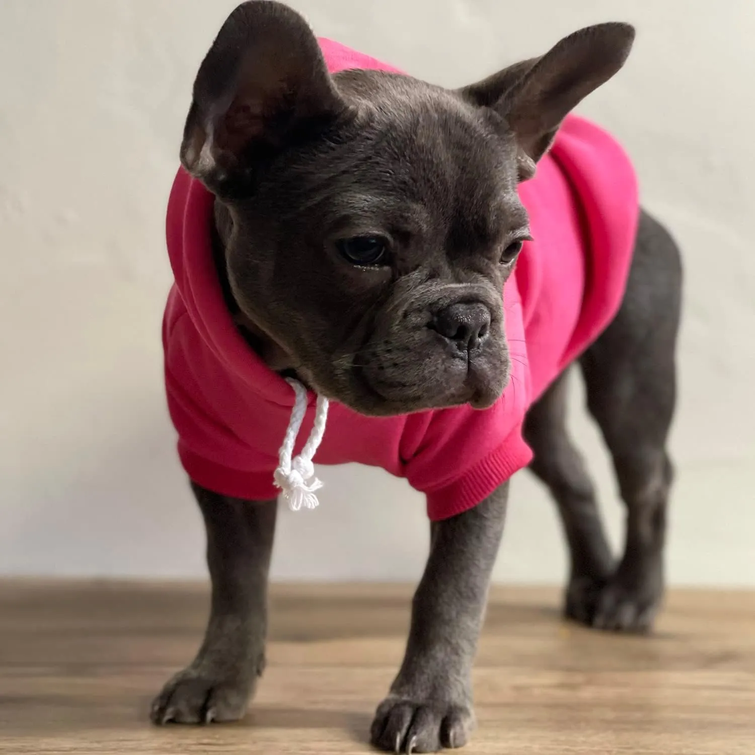Happy Camper Pullover Fleece Lined Dog Hoodie with Leash Hole (Red Hooded Sweatshirt)