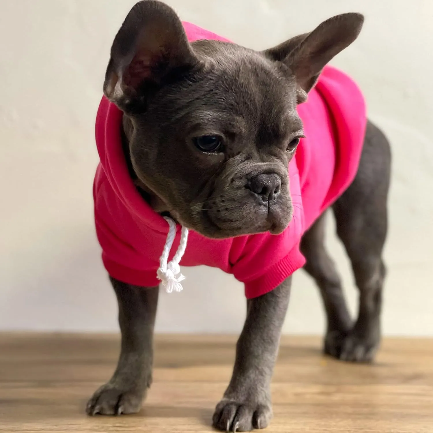 Let The Adventure Begin Summer Dog Hoodie Fleece Lined Pullover Sweatshirt with Leash Hole (Hot Pink, Large 784)