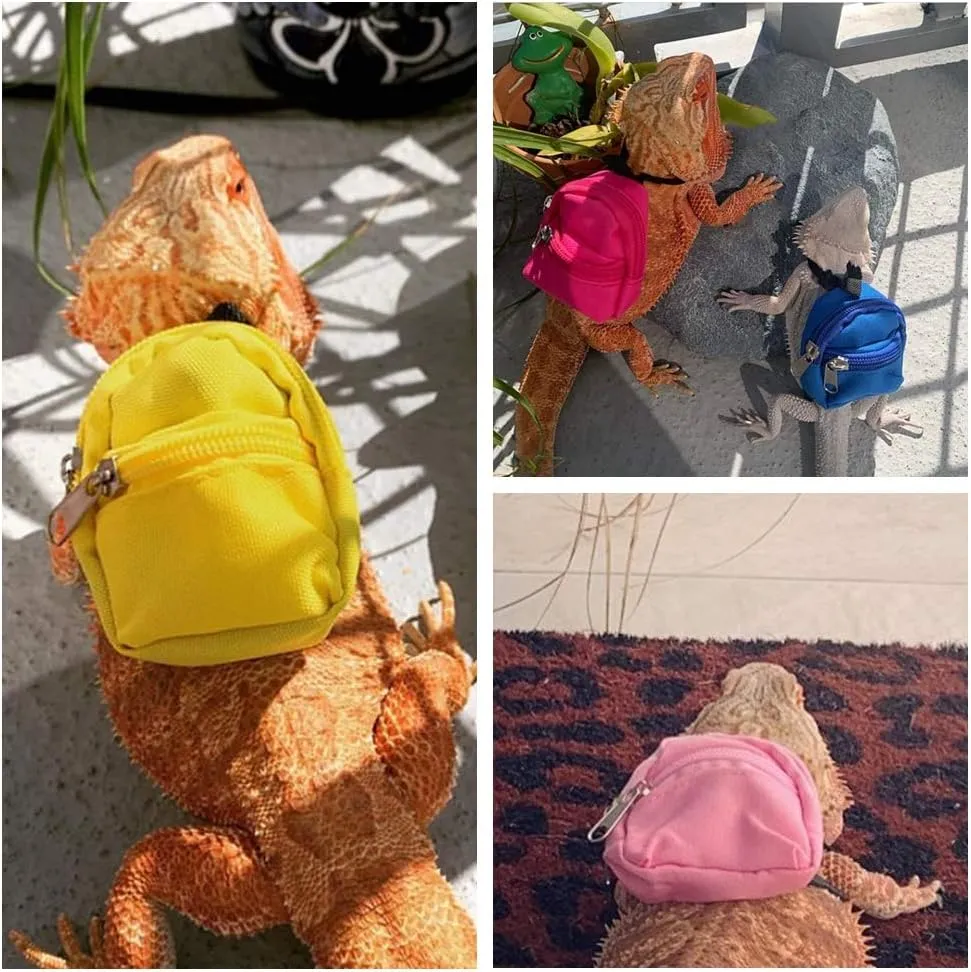 Lizard Backpack for Bearded Dragons School Bag & Books Set Reptile Apparel Accessories Handmade Photo Party Back to School Supplies for Lizard Bearded Dragon Crested Gecko Chameleon (Black)