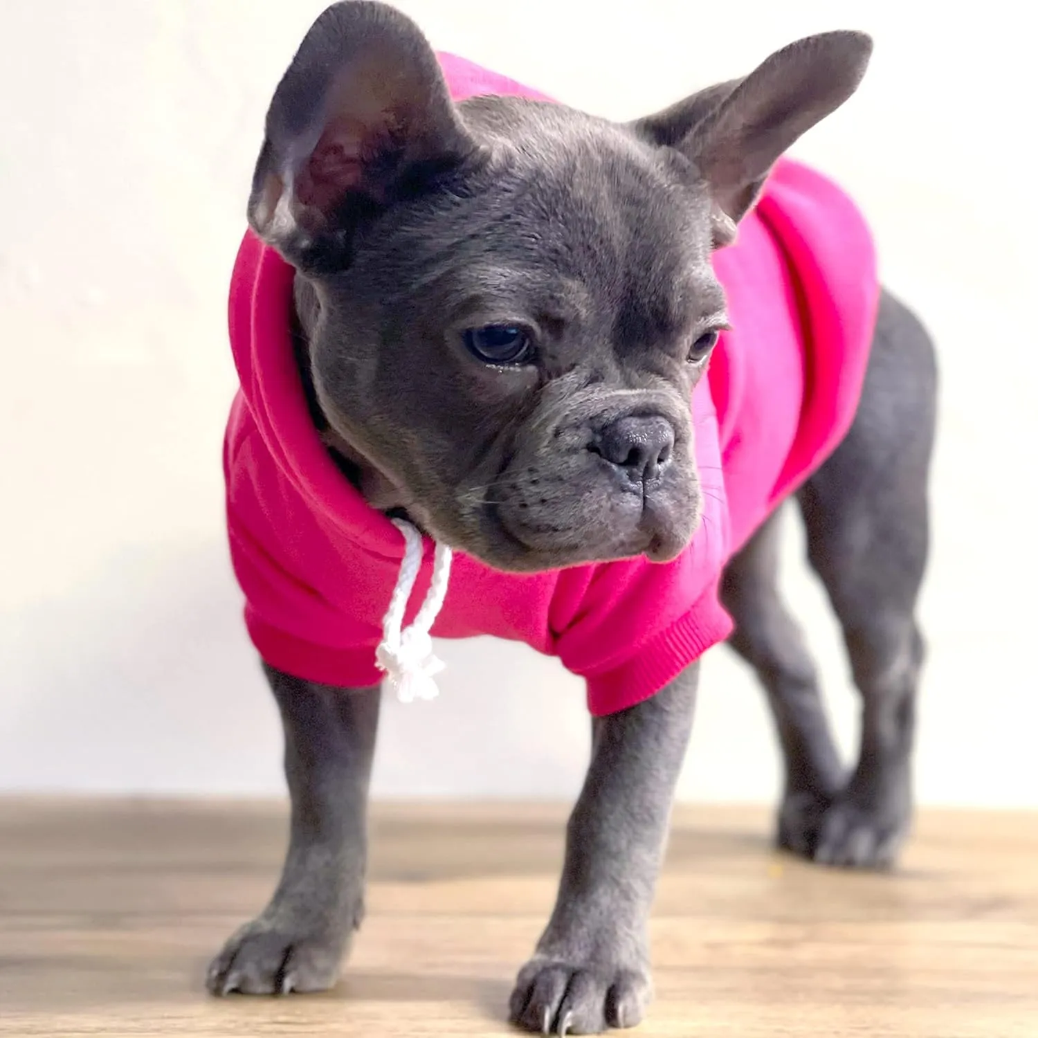 Mr. Steal Your Girl Valentine's Day Pullover Fleece Lined Dog Hoodie with Leash Hole (Red Hooded Sweatshirt)