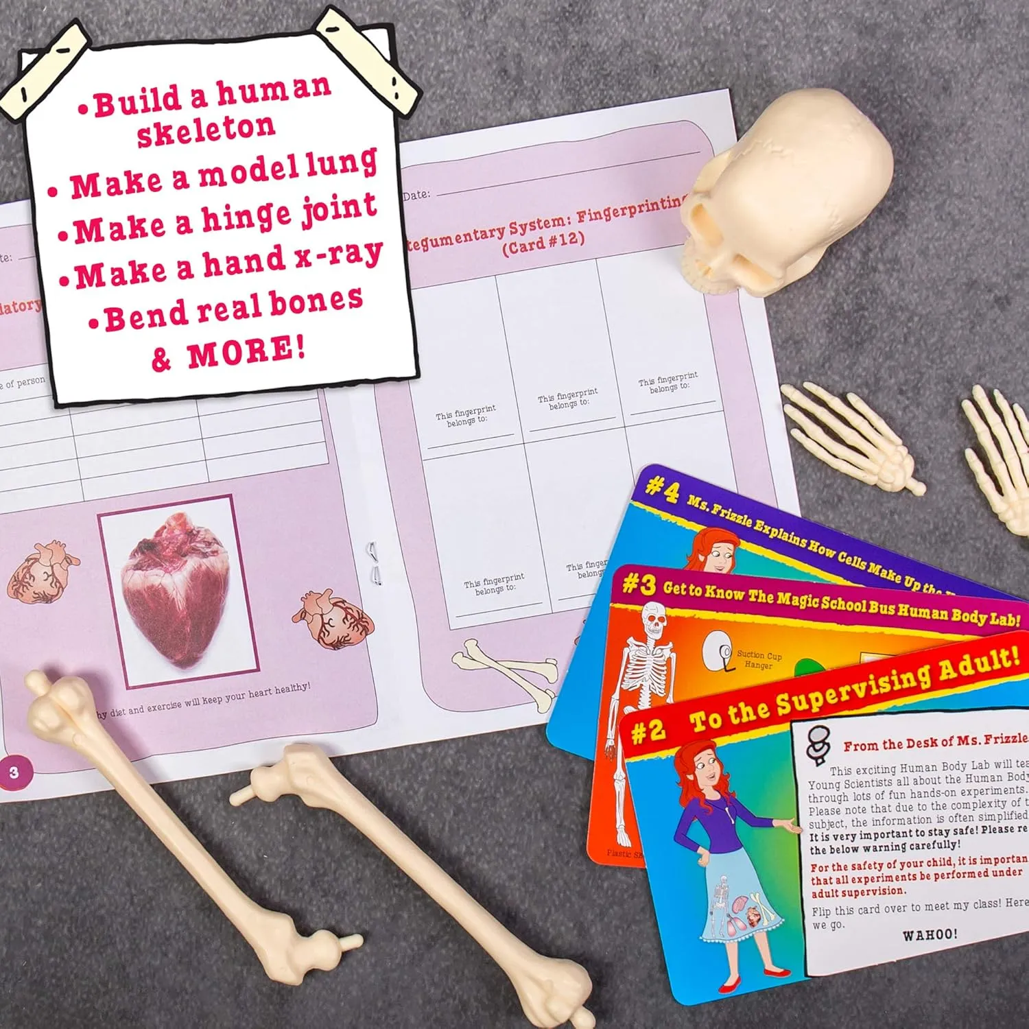 The Young Scientists Club The Magic School Bus: Human Body Lab