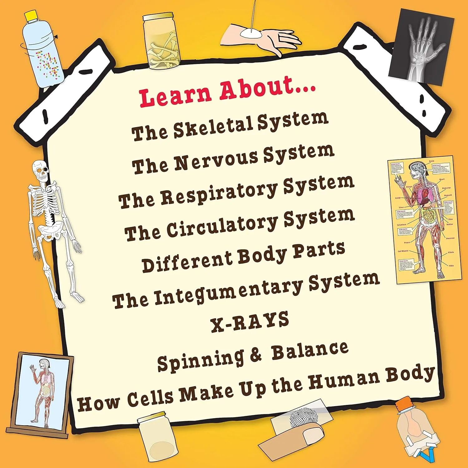 The Young Scientists Club The Magic School Bus: Human Body Lab