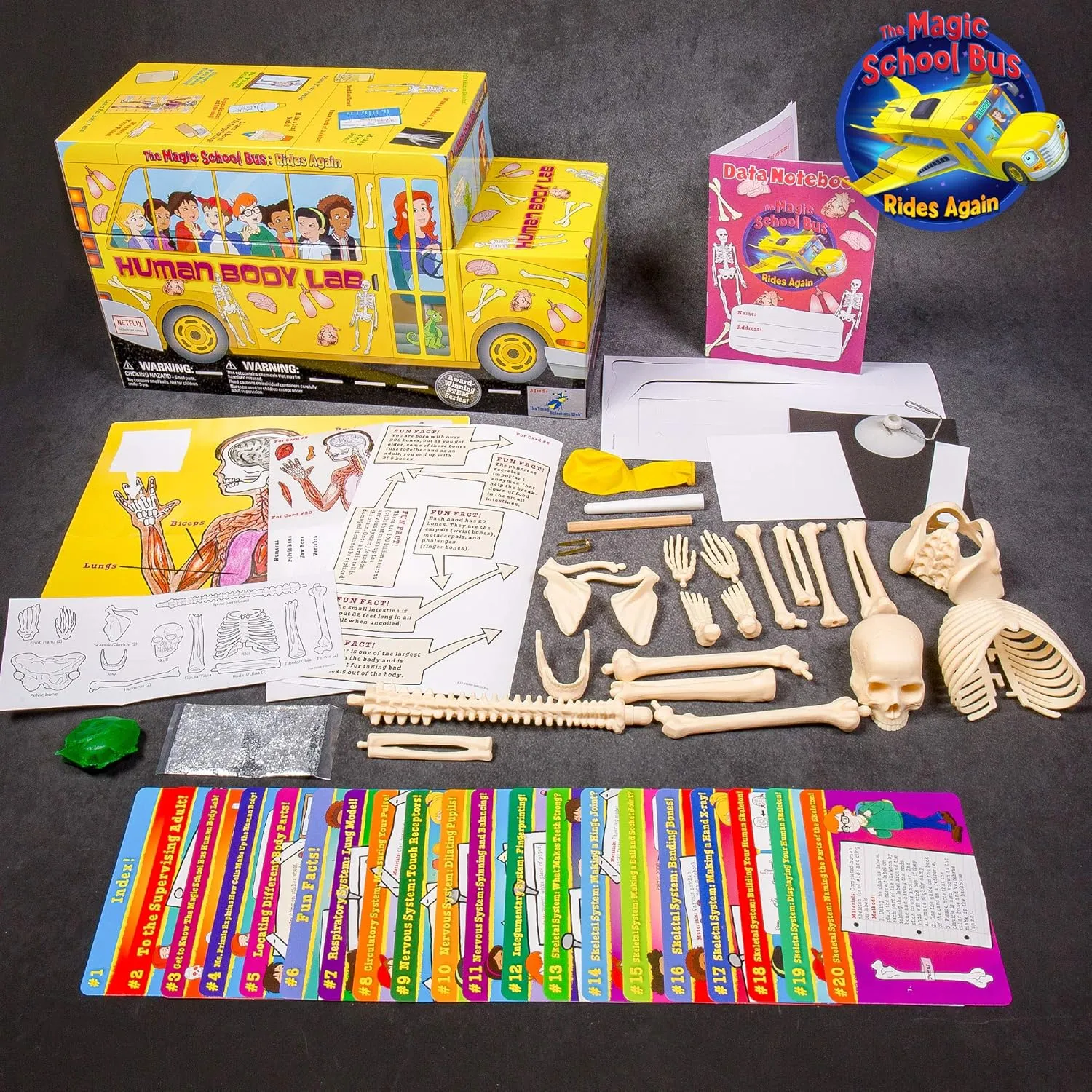 The Young Scientists Club The Magic School Bus: Human Body Lab