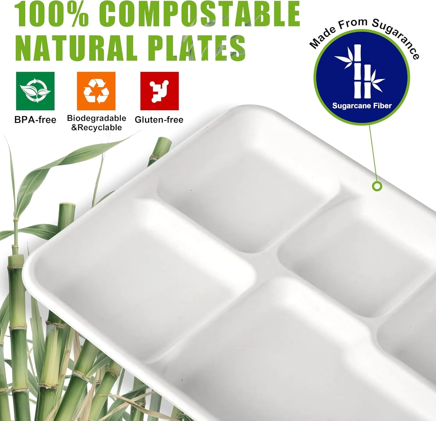 WELLIFE 100% Compostable 5 Compartment Paper Plates, 10.25 * 8.25 Inch 125 Pack Heavy Duty Divided Disposable School Lunch Trays, Eco-Friendly Bagasse Plates for Boys, Girls and Youth (BPA Free)