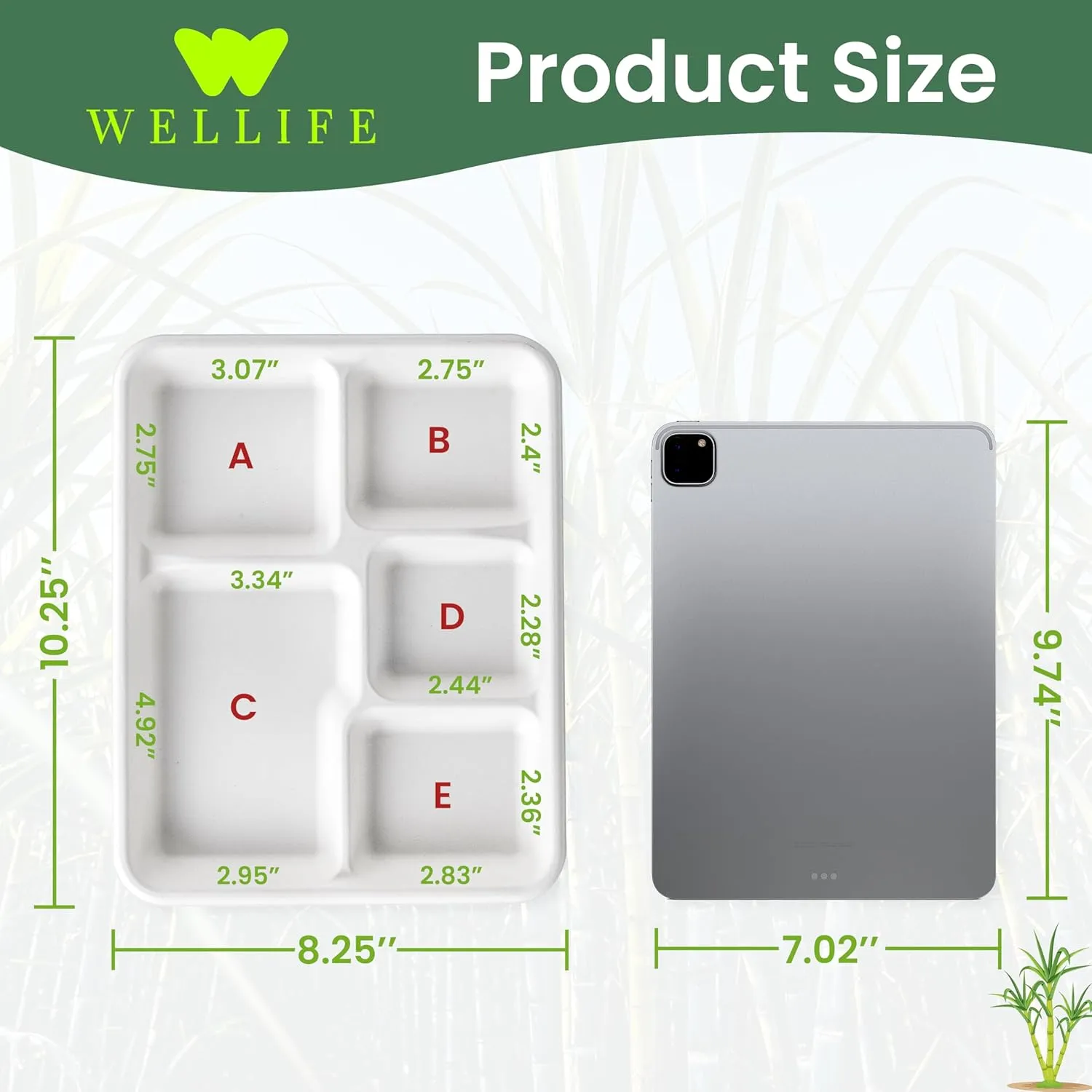 WELLIFE 100% Compostable 5 Compartment Paper Plates, 10.25 * 8.25 Inch 125 Pack Heavy Duty Divided Disposable School Lunch Trays, Eco-Friendly Bagasse Plates for Boys, Girls and Youth (BPA Free)